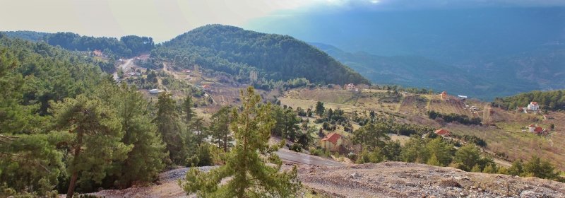 IMG_3634 BirleÃƒÂƒÃ‚Â…ÃƒÂ‚Ã‚ÂŸtirme (800x280).jpg