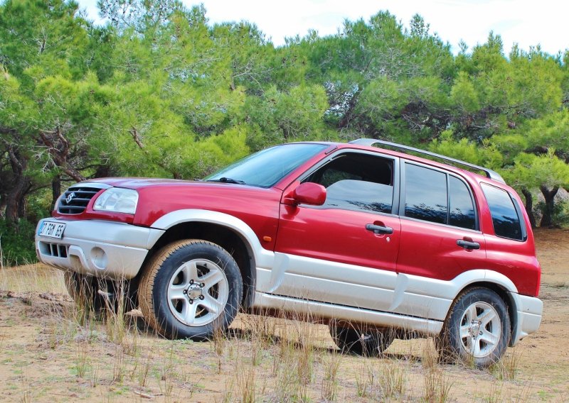 IMG_3647 (800x568).jpg