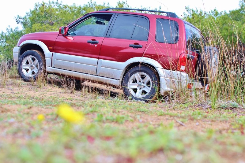 IMG_3656 (800x533).jpg