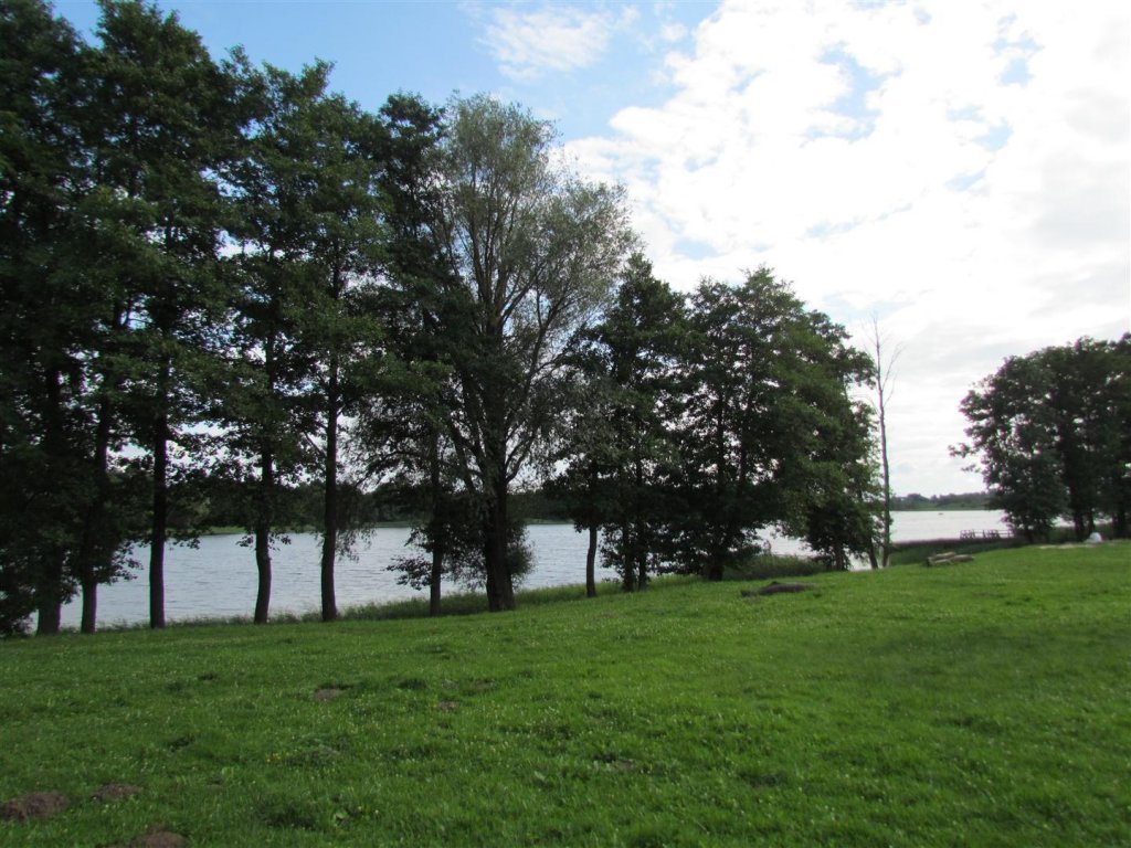 IMG_3719 (Large).jpg