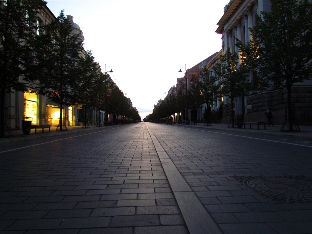 IMG_3773 (Large).jpg