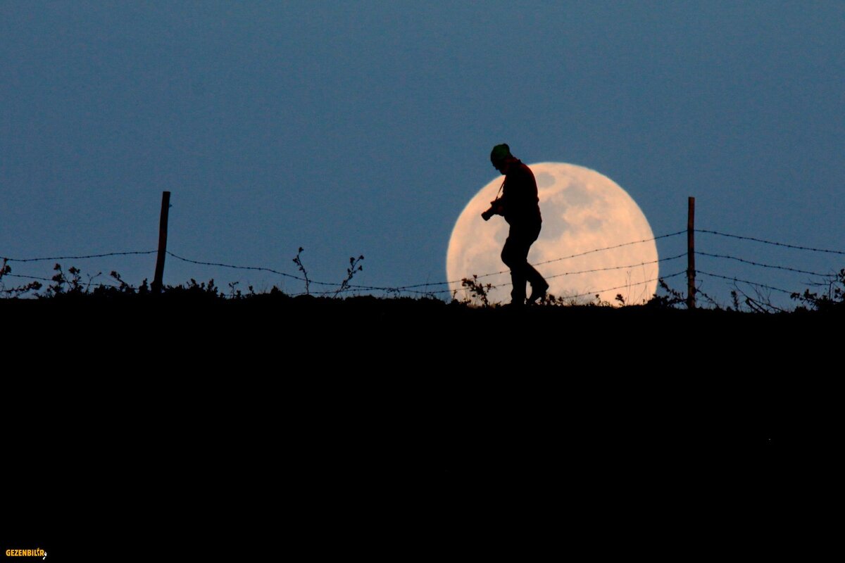 IMG_3787.JPG k.jpgk.jpg