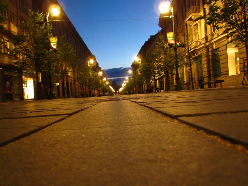 IMG_3801 (Large).jpg