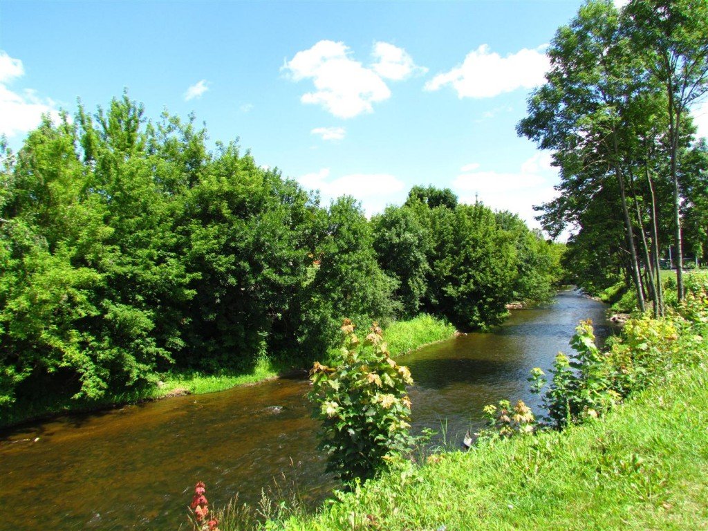 IMG_3904 (Large).jpg