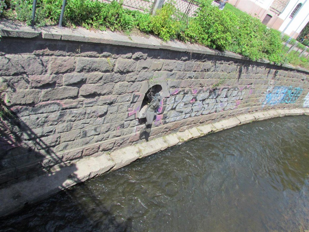 IMG_3923 (Large).jpg