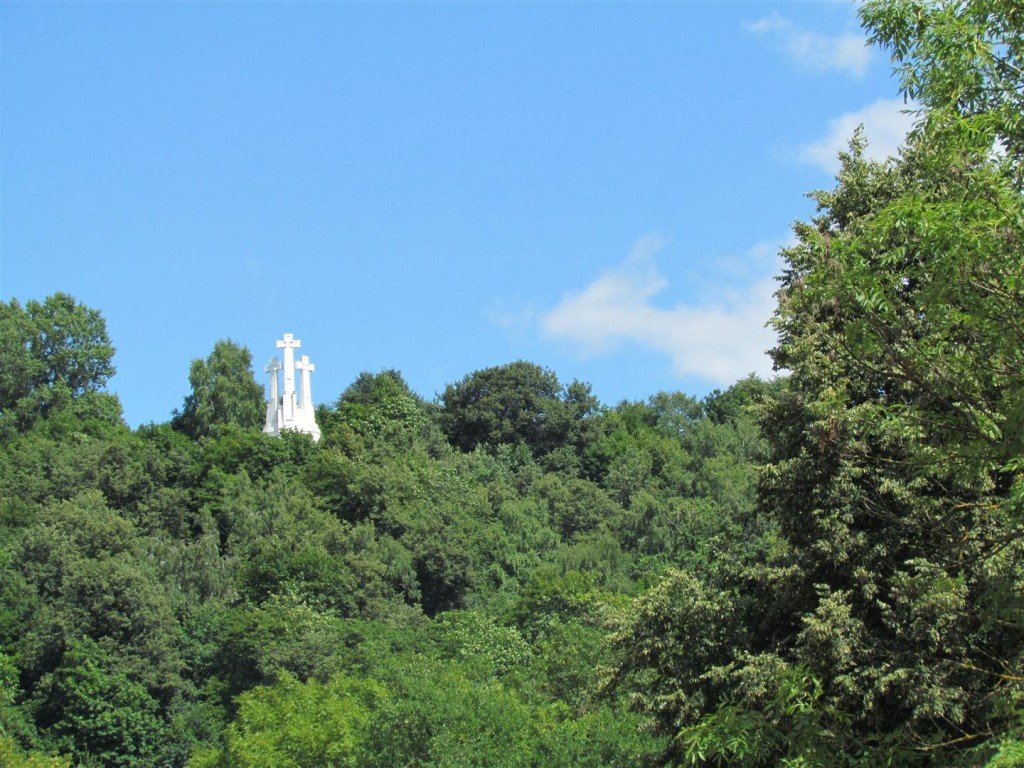 IMG_3941 (Large).jpg