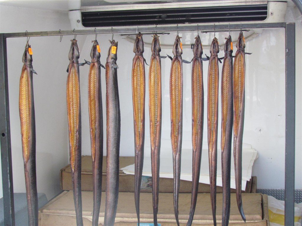 IMG_3944 (Large).jpg