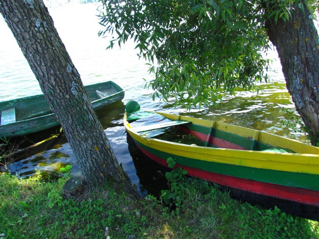 IMG_3954 (Large).jpg