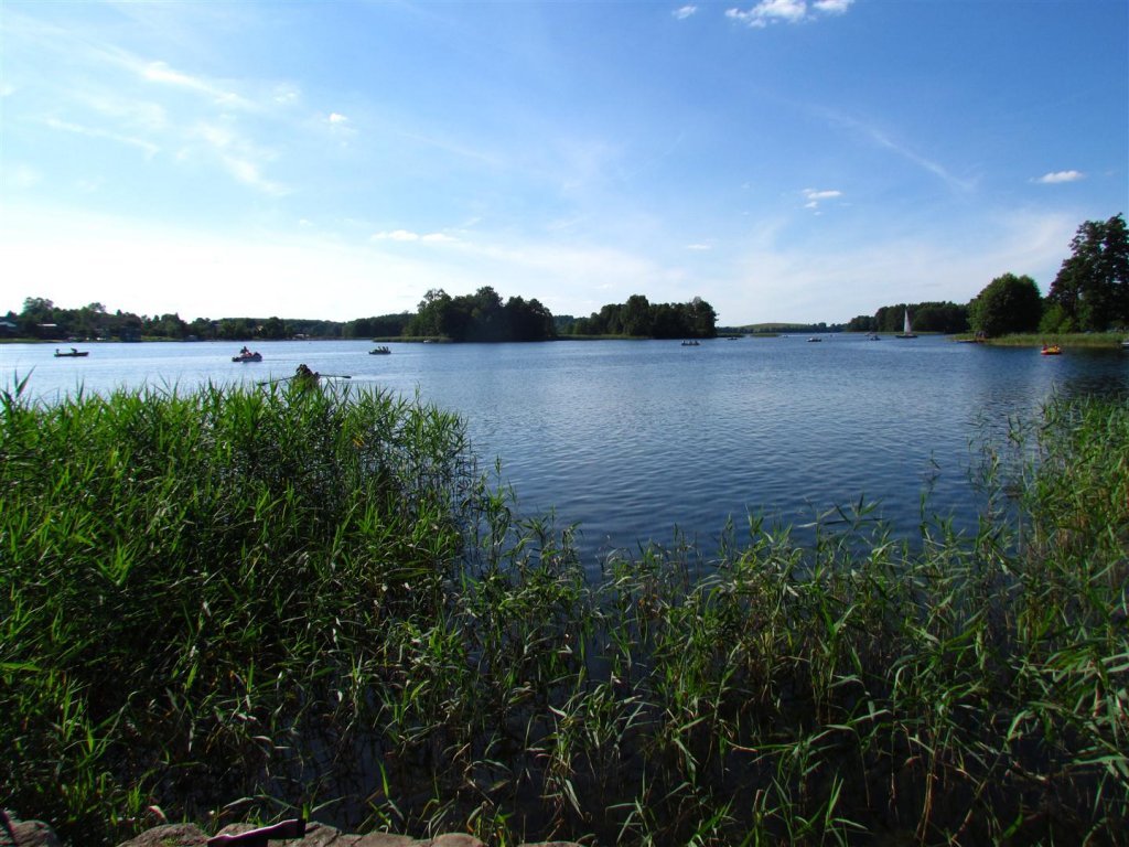 IMG_3991 (Large).jpg