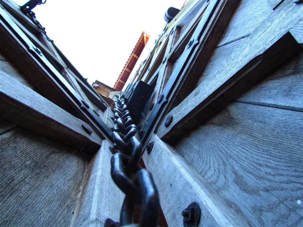 IMG_3997 (Large).jpg