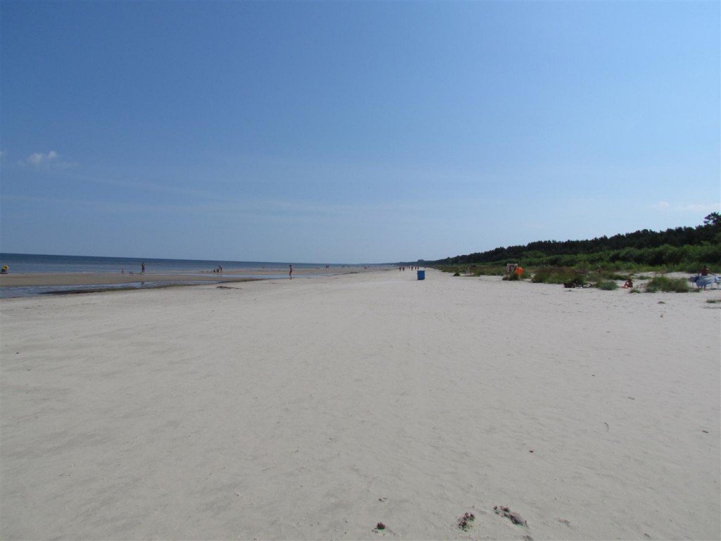 IMG_4162 (Large).jpg