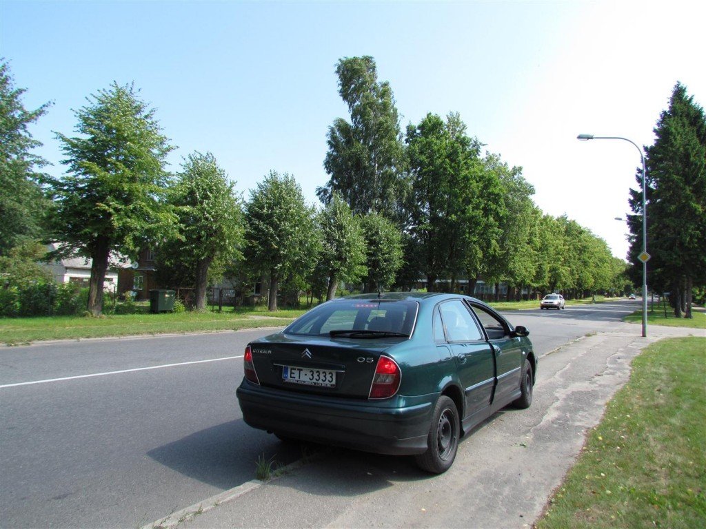 IMG_4193 (Large).jpg