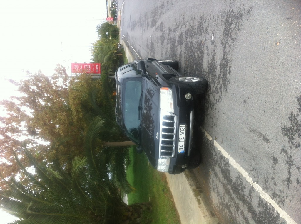 IMG_4600.JPG IMG_4600.JPG