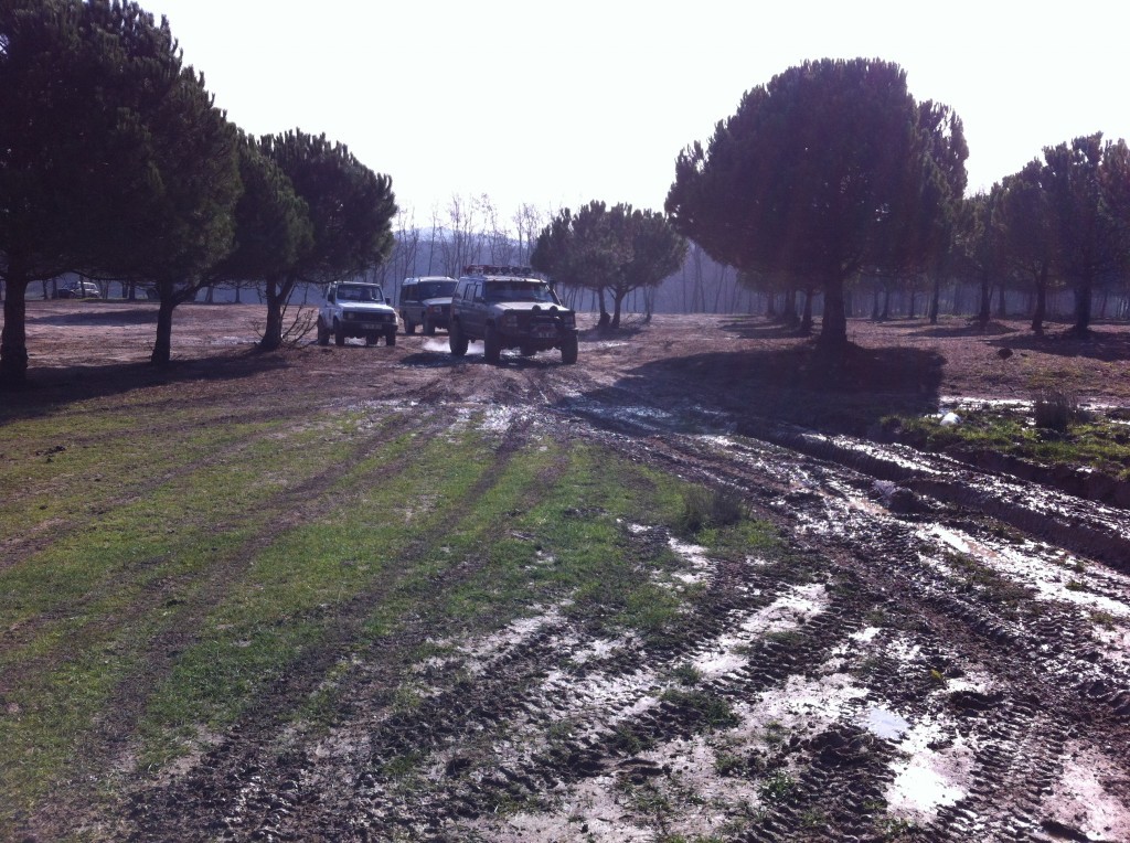 IMG_4790 - Kopya.JPG