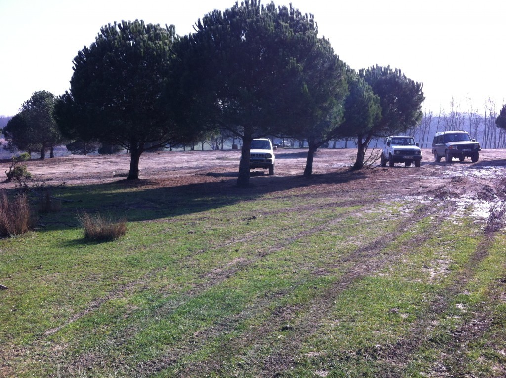 IMG_4794 - Kopya.JPG