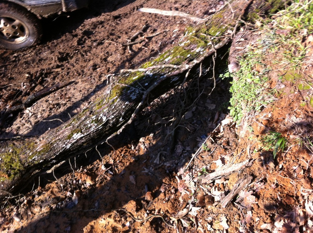 IMG_4819 - Kopya.JPG