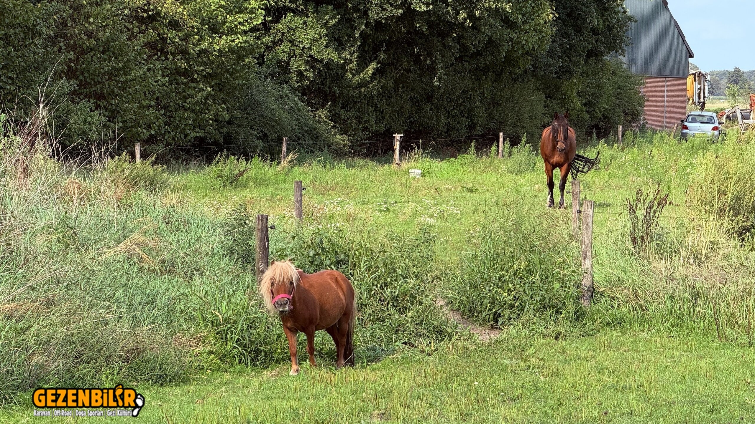 IMG_4859_Original.jpeg