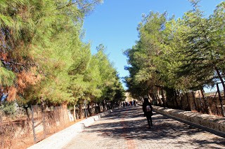 IMG_5068.jpg IMG_5068.jpg