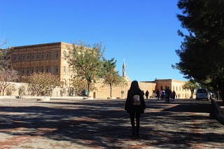 IMG_5069.jpg IMG_5069.jpg