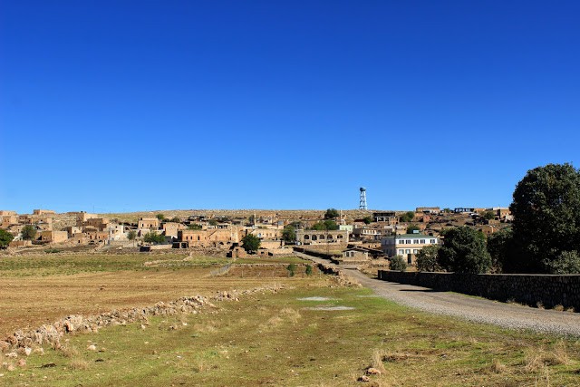 IMG_5132.jpg IMG_5132.jpg