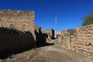 IMG_5135.jpg IMG_5135.jpg