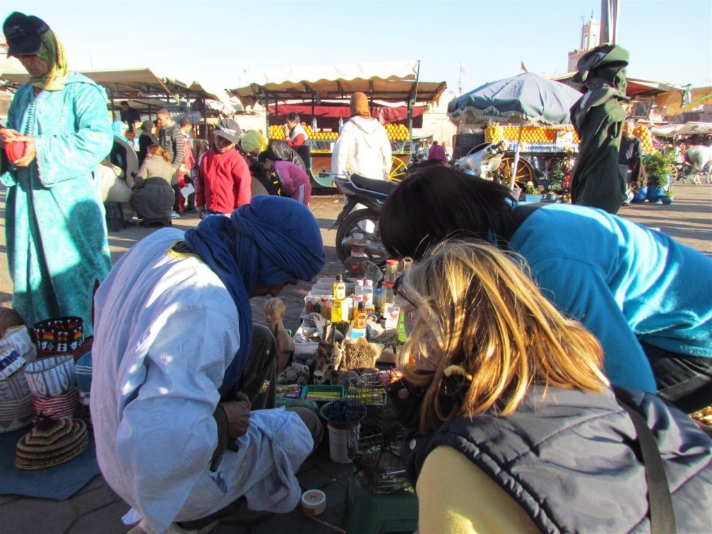 IMG_5317 (Large).JPG