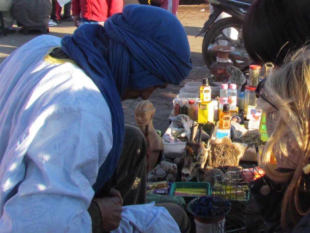 IMG_5346 (Large).JPG