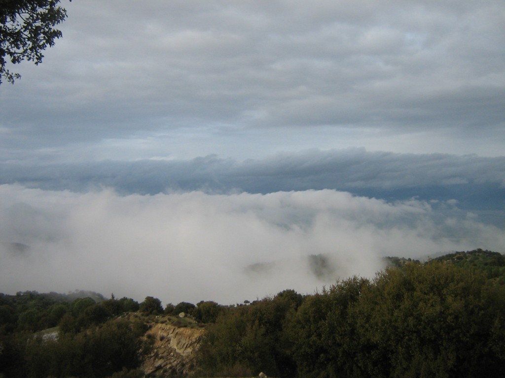 IMG_5369.JPG