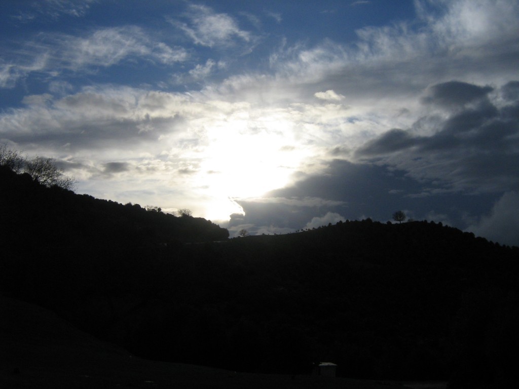 IMG_5370.JPG