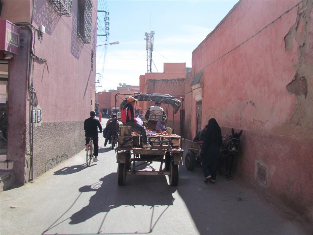 IMG_5394 (Large).JPG