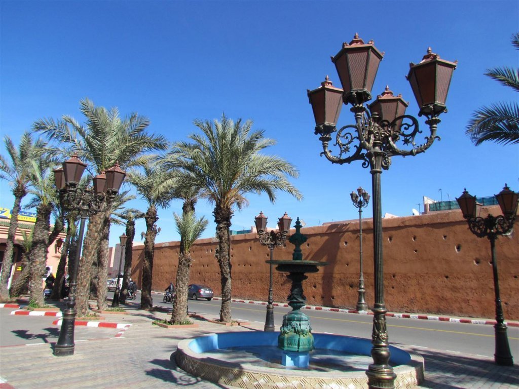 IMG_5414 (Large).JPG