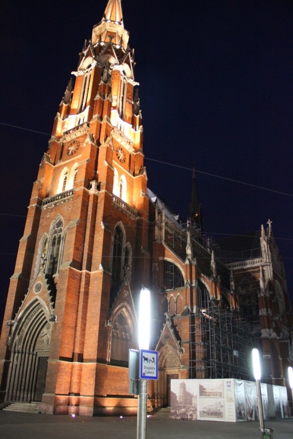 IMG_5447.JPG