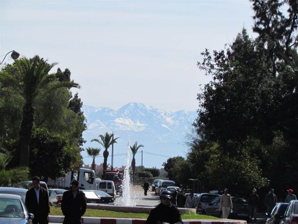 IMG_5449 (Large).JPG