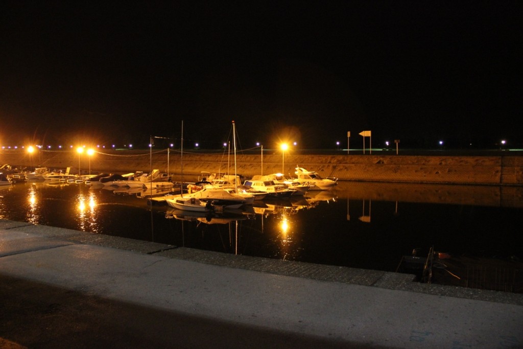 IMG_5459.JPG