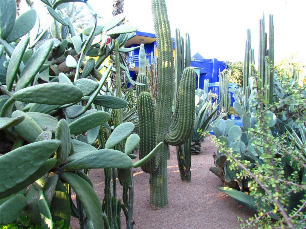 IMG_5504 (Large).JPG