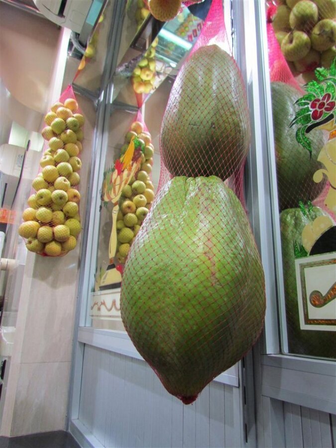 IMG_5562 (Large).JPG