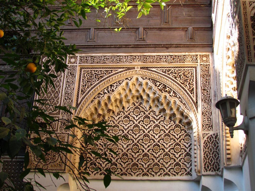 IMG_5592 (Large).JPG