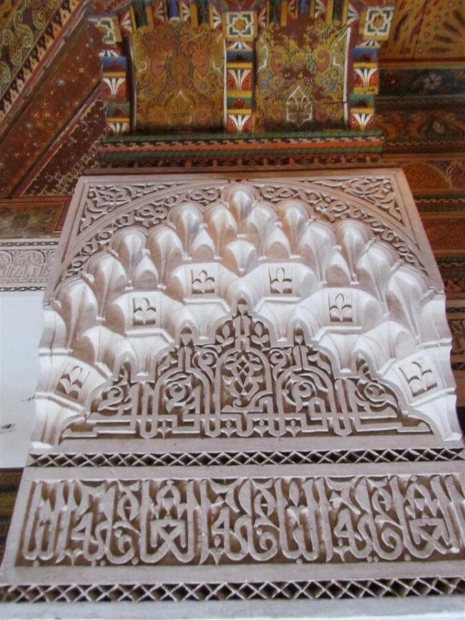 IMG_5616 (Large).JPG