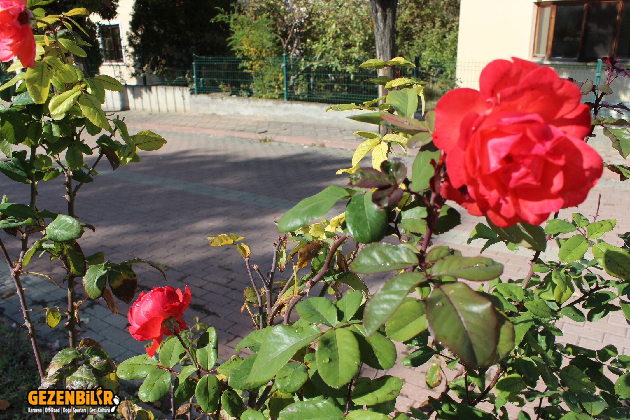 IMG_5673.JPG