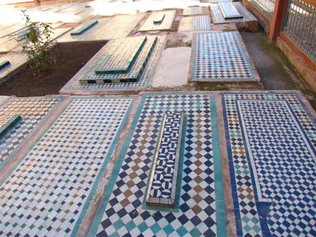 IMG_5682 (Large).JPG