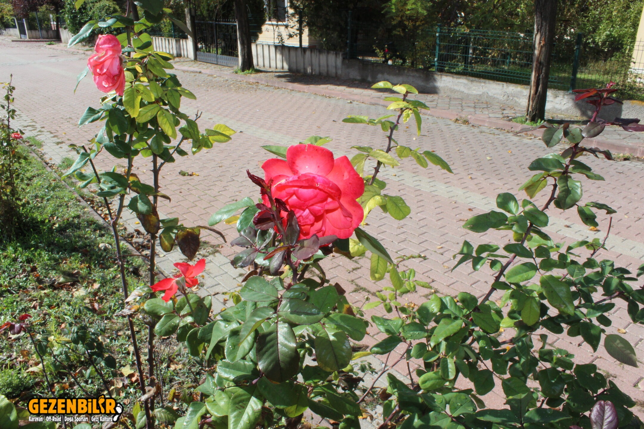 IMG_5838.JPG