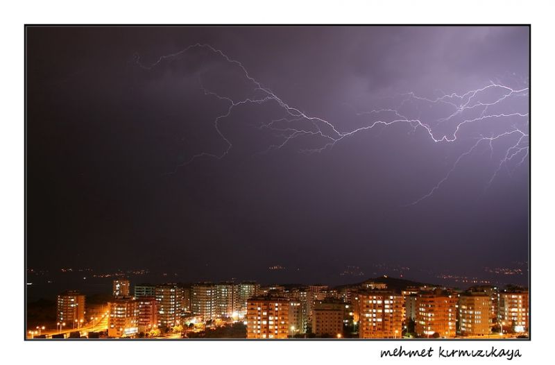 IMG_6527      2       8.jpg