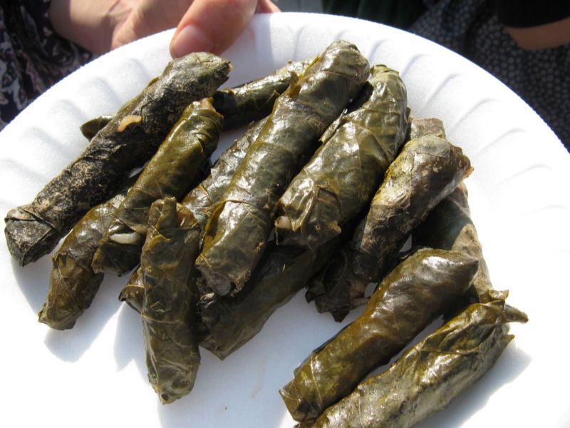 IMG_6627.jpg IMG_6627.jpg