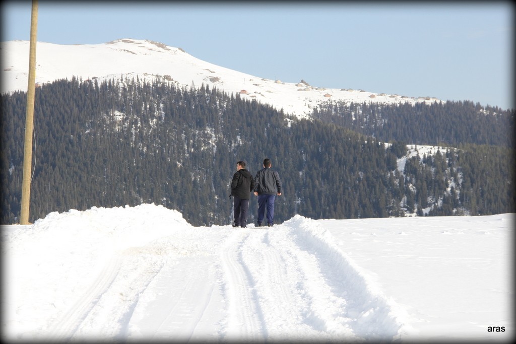IMG_6793.JPG