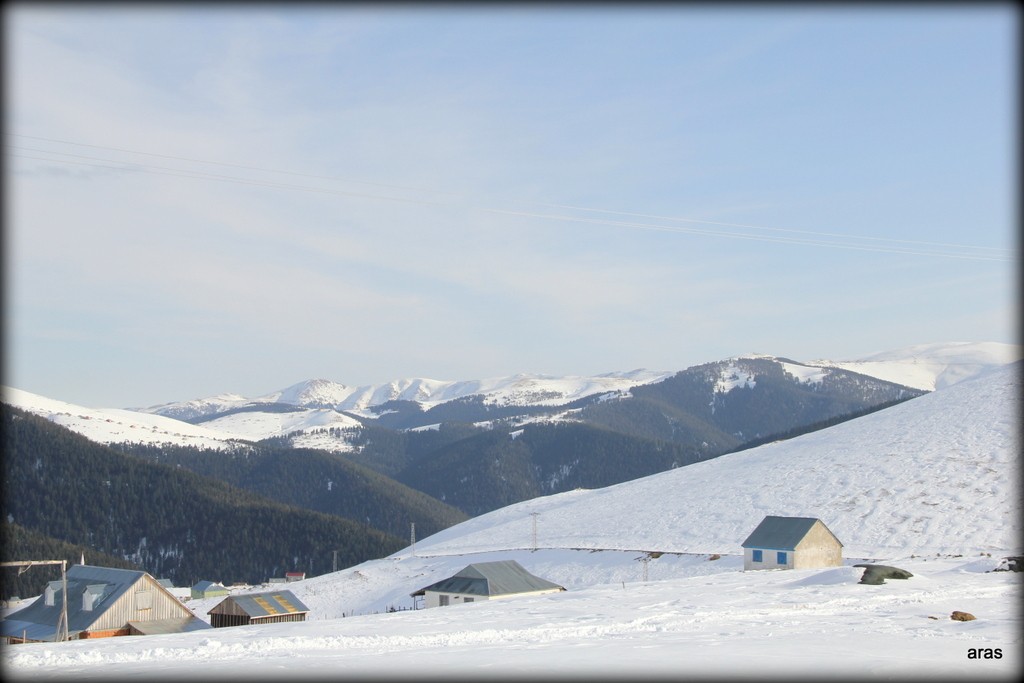 IMG_6871.JPG