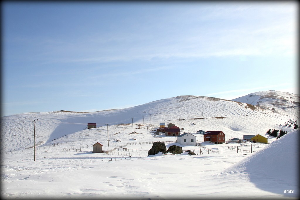 IMG_6873.JPG