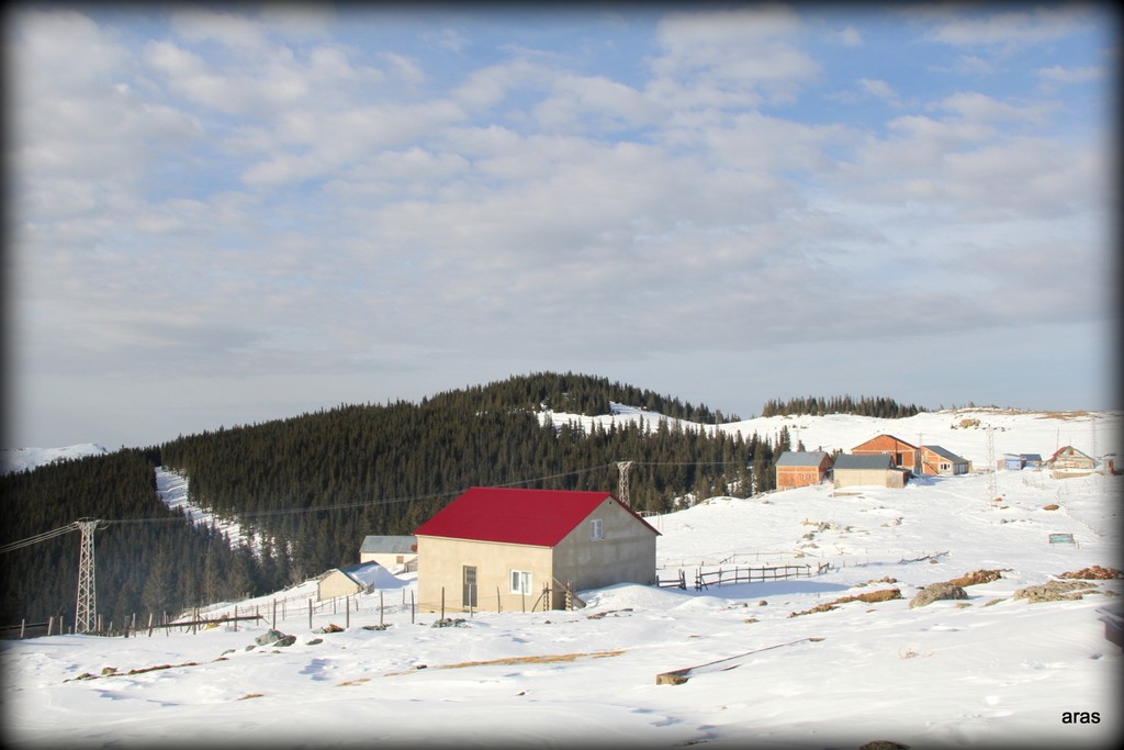 IMG_6885.JPG