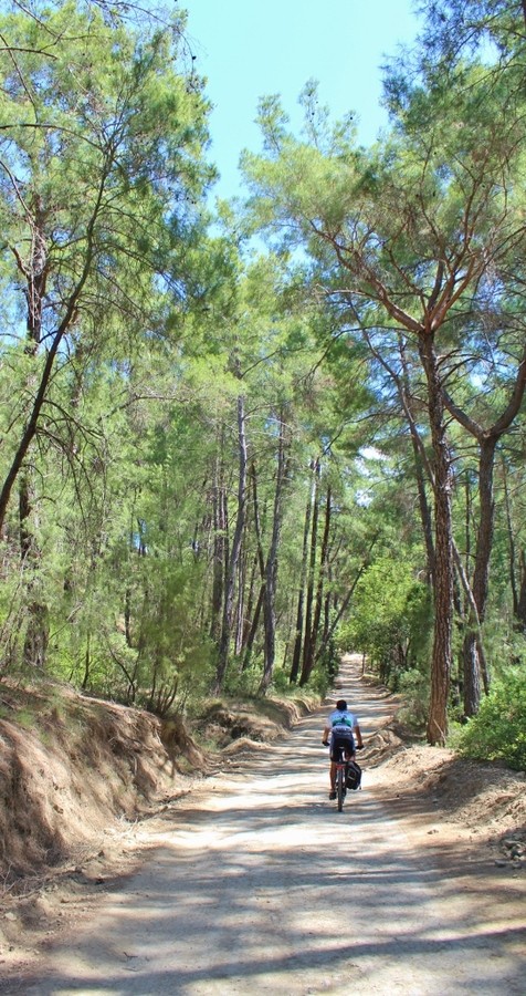 IMG_6904 (542x1024).jpg