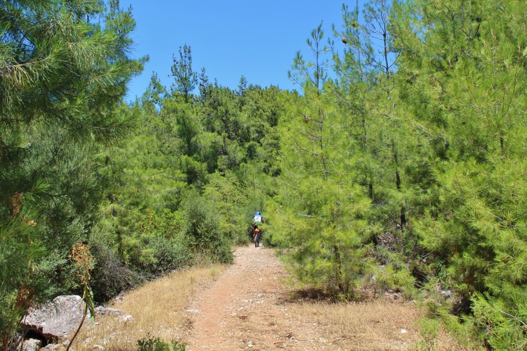 IMG_6972 (1024x683).jpg