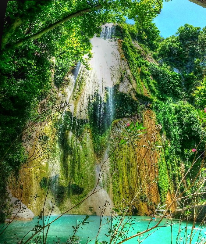 IMG_6972 (800x533)1.jpg